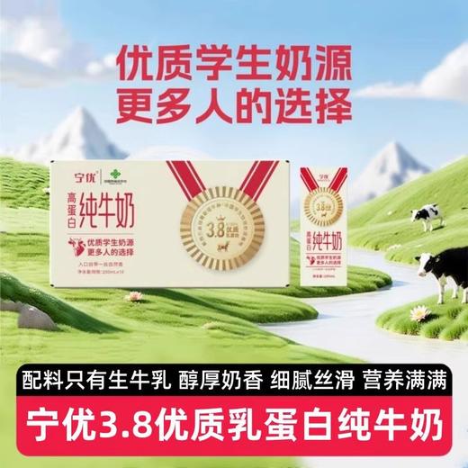 宁优3.8优质乳蛋白纯牛奶 宁夏产区 入口自带一丝自然香 商品图0