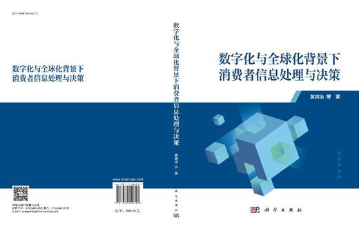 数字化与全球化背景下消费者信息处理与决策 商品图3