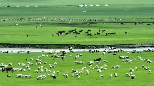 3.19开售首发减1000！中国草原天花板！2026暑假【北境牧歌】呼伦贝尔大环线7天6晚亲子营，私家牧场Glamping，大兴安岭森林游牧，鄂温克撸驯鹿，马背驰骋，奇遇童话世界！全程旅拍，高赞好评 商品图1