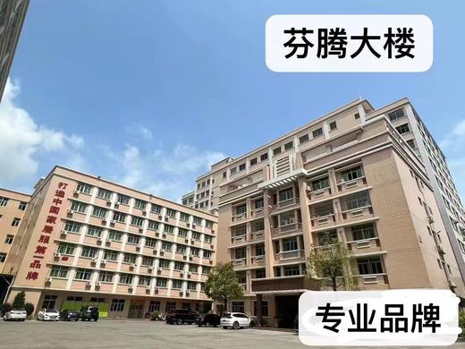 7A级抑菌舒适+塑形芬腾女士无痕撞色运动风内衣套装 商品图8