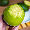 【顺丰发货】哈斯牛油果（非即食） 产地直采现摘现发 商品缩略图5