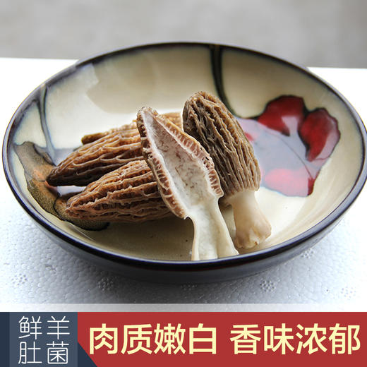 【新鲜羊肚菌】云南丽江羊肚菌 商品图3