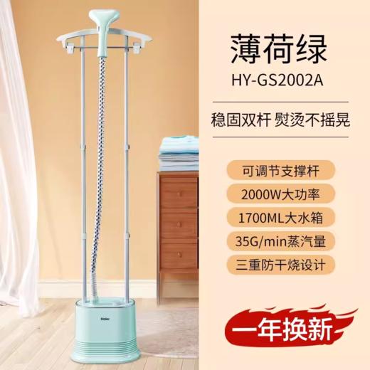 海尔双杆挂烫机家用挂立手持式平板熨烫机蒸汽小型熨斗衣服服装店2002A 商品图0