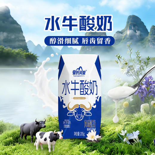皇氏乳业水牛酸奶205g*10盒 特别添加水牛奶 风味酸奶 商品图1
