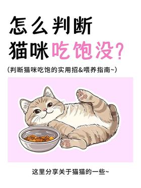 如何判断，猫咪到底吃饱了没？
