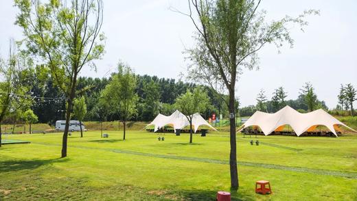 2026年清明&周末丨399起，房车游花海，搭上开往春天的大房车 商品图3