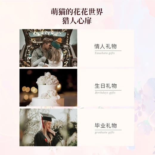 变脸猫萌猫的花花世界礼盒 商品图4