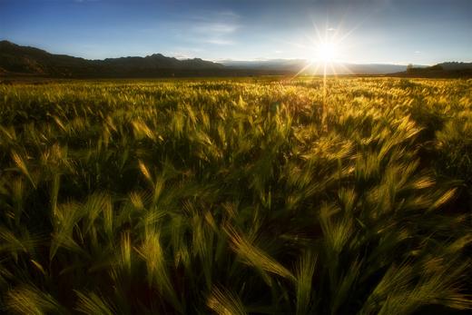 （越野车）秋季・滇藏丙察察14 天摄影团——独龙江、墨脱、波密、林芝、拉萨 商品图2