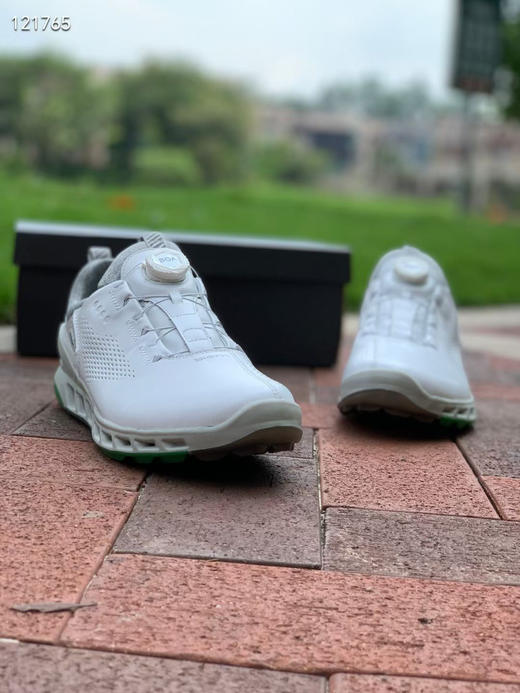 外贸原单爱步高尔夫球鞋男士golf无钉鞋BOA锁扣 免糸带 健步透氧牦牛皮球鞋
码数:39 40 41 42 43 44 (标准皮鞋码) 商品图6