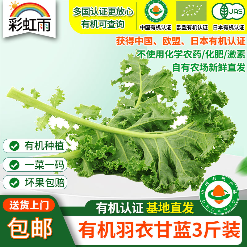 【基地直发】有机蔬菜羽衣甘蓝3斤/6斤欧盟认证自有农场新鲜直发包邮