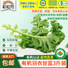 【基地直发】有机蔬菜羽衣甘蓝3斤/6斤欧盟认证自有农场新鲜直发包邮 商品缩略图0