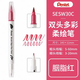 派通彩色双头柔绘笔SESW30C-T119