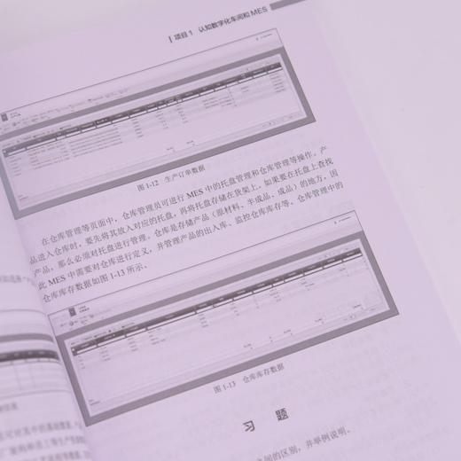 工业MES实施与运维项目化教程 商品图2