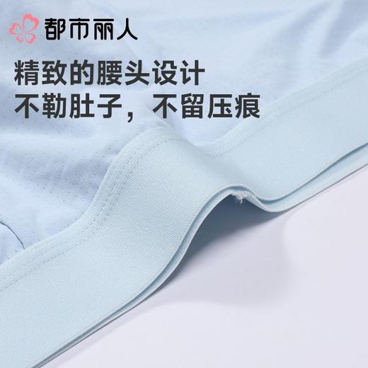 都市丽人内裤男士内裤冰丝内裤锦纶平角内裤明筋内裤FKCC13 商品图5