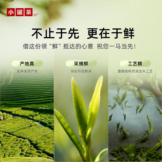 【2026春茶】小罐茶·一马当鲜·早春龙井茶礼盒72g【现货】 商品图1