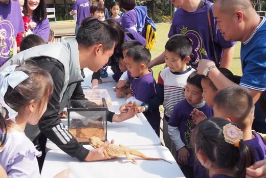 蓝莓王国甜蜜狂欢1日营 商品图5