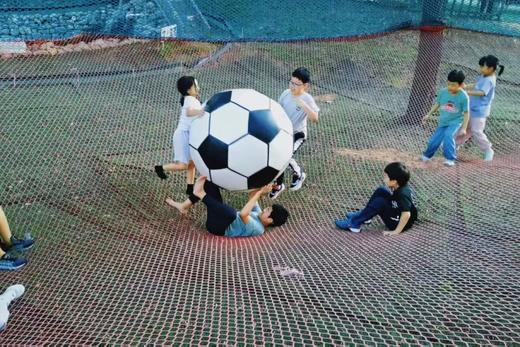 2026年清明&周末丨399起，房车游花海，搭上开往春天的大房车 商品图4