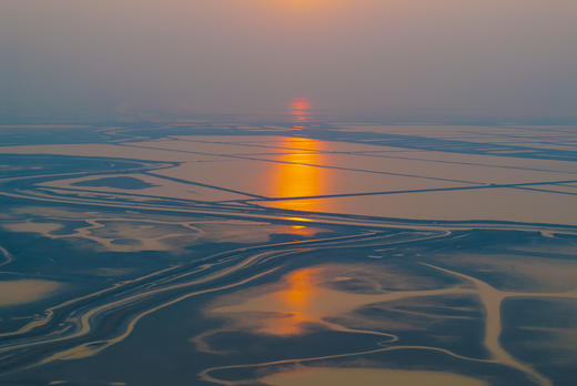 拍鸟专线·东营黄河口鸟浪、沿海潮汐树+烟墩角天鹅+青岛海滨4天/8天 商品图9