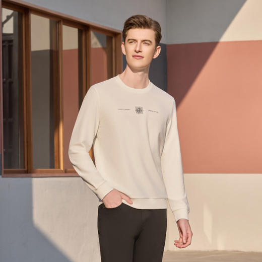 半身缘男装 春季新款简约时尚休闲T恤柔和绣花261312M01110220 商品图3