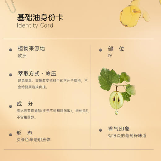 品牌直发 CANVAS 卡芬诗 葡萄籽修护基础油 250mL 商品图3