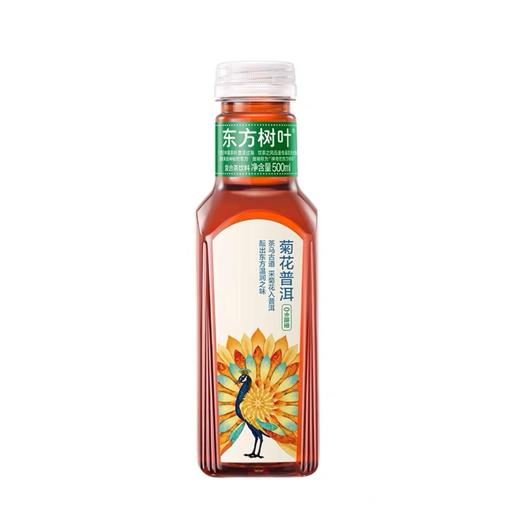 东方树叶菊花普洱新上市｜0糖0卡0脂0香精0防腐剂，茶多酚≥160mg/kg，醇厚顺滑更温润 商品图0