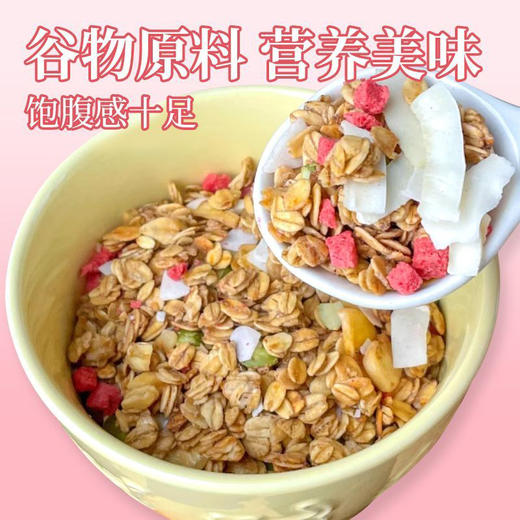 【超值3罐装】小纤腰燕麦片组合 可可草莓/亚麻籽无花果/草莓椰椰 谷物原料 营养丰富 400g*3罐 商品图3