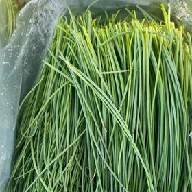 大漠沙葱#新鲜蔬菜，民勤特产，凉拌小香葱火锅饺子馅 炒鸡蛋等