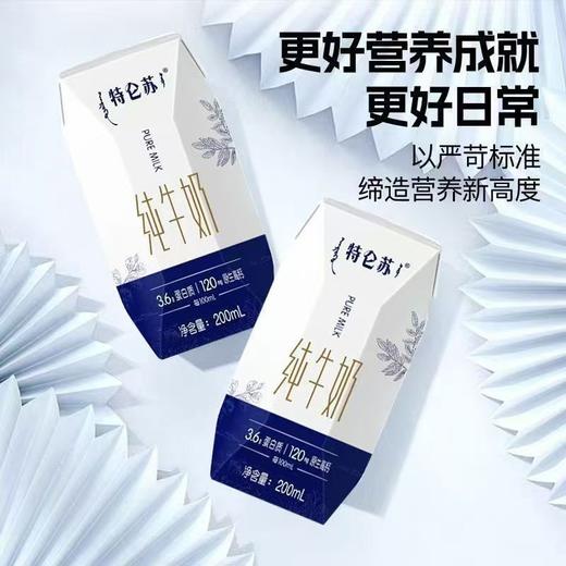 特仑苏纯牛奶  200ml*10盒/箱  醇正营养 限定产地 商品图1