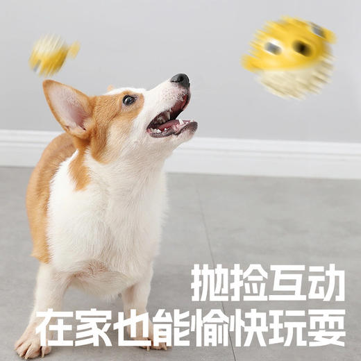 【柔软耐咬❗食品级】蹦蹦鱼狗狗漏食玩具自嗨解闷蹦蹦鱼大小型犬磨牙耐咬发声球宠物用。xa 商品图3