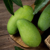 【抢鲜吃❗️9斤只要🔥越南大青芒】单果个头饱满硕大，果核扁小，果肉厚实饱满，入口即化不塞牙，汁水丰盈，10斤水果新鲜整箱当季青皮芒金煌芒特大果QQ 商品缩略图1