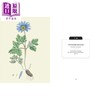 预售 【中商原版】野花 英国皇家植物园口袋书系 Kew Pocketbooks Wildflowers 英文原版 Ed Ikin Royal Botanic Gardens 邱园自然百科 商品缩略图3