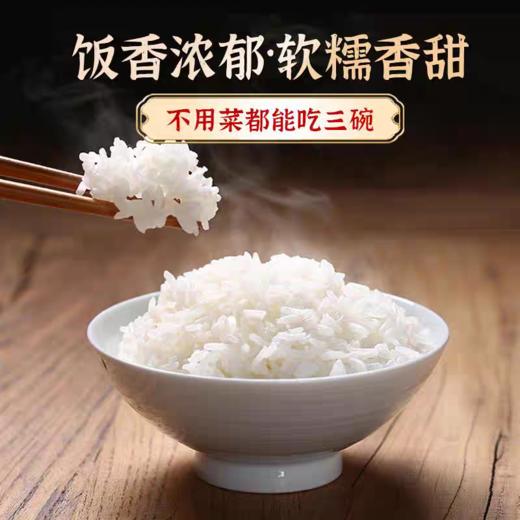 【五常生态香米，新米5斤、10斤装】东北五常大米、产地直发、真空包装 商品图4