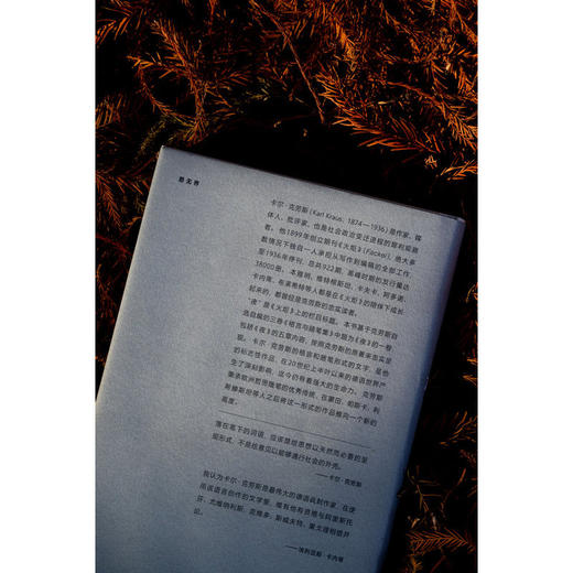 夜：格言与随笔 1912—1919 [奥地利]卡尔·克劳斯/著 吴秀杰/译 北贝 讽刺 维也纳 一战 商品图4
