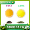 黄红缨乐纷享品鉴茶 商品缩略图3