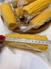 有机玉米（一袋8根） 26G0306 商品缩略图2