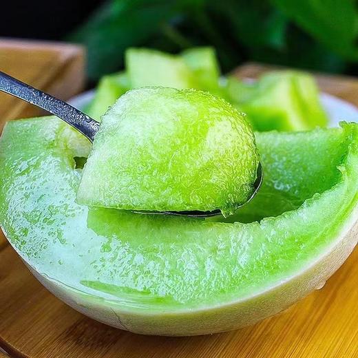 【重磅推荐❗️玉菇甜瓜】头茬海南露天种植，果肉色泽晶莹透亮，肉质细腻无渣，咬一口汁水丰盈充盈，新鲜水果整箱10斤包邮当季蜜瓜香瓜冰淇淋软糯香QQ 商品图1