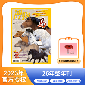 博物杂志 2026年征订 全年刊 跨年刊