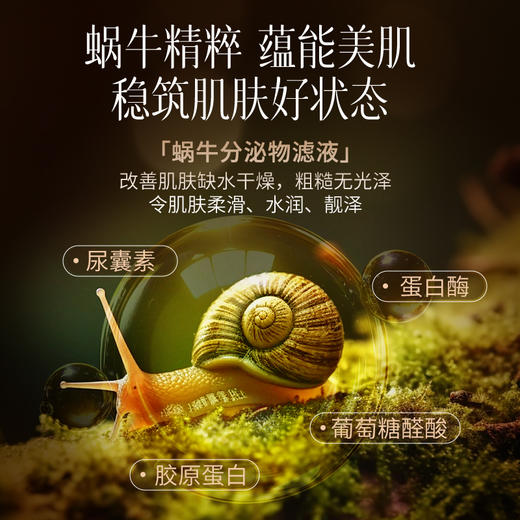 黑松露蜗牛精华霜修护肌肤屏障补水保湿滋润50g 商品图5