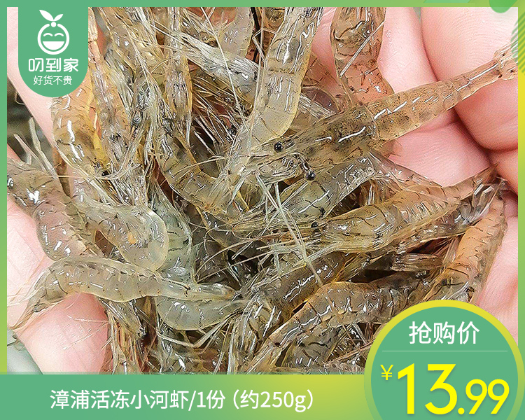 漳浦活冻小河虾/1份（约250g）