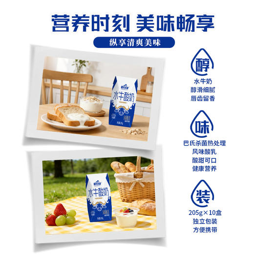 皇氏乳业水牛酸奶205g*10盒 特别添加水牛奶 风味酸奶 商品图3