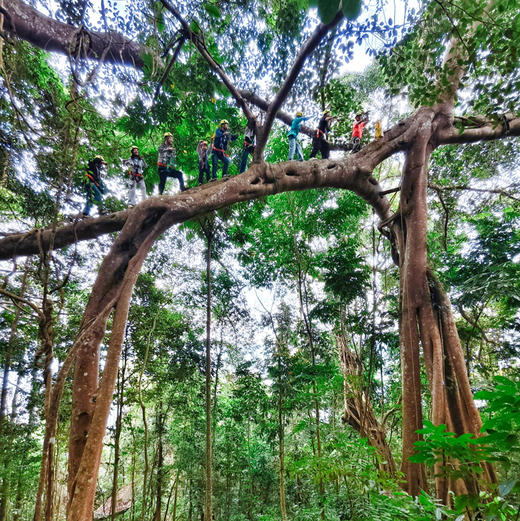 云南 | 版纳坐快艇攀巨树「纳板河雨林」1日游，最新西双版纳好玩刺激新路线！澜沧江快艇/飞拉达/雨林徒步/攀爬独树成林巨树/溜索/超爽高空秋千，吃地道丰富美食，五一端午清明节行程提前预定！ 商品图9