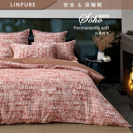 【代发】蓝铂成人四件套80支全棉床上用品（尺寸为被套尺寸） 商品图1