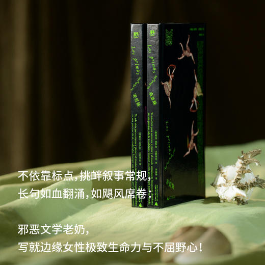 表姐妹（阿根廷）奥罗拉·本图里尼/著 李佳钟/著 拉美文学；女性成长；创伤；家庭 商品图5