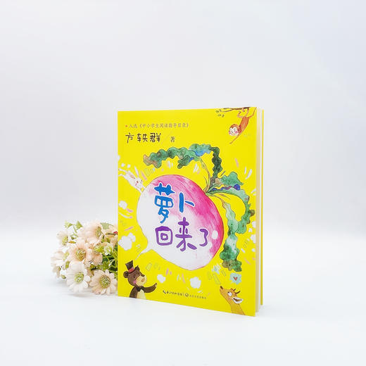 萝卜回来了 商品图1