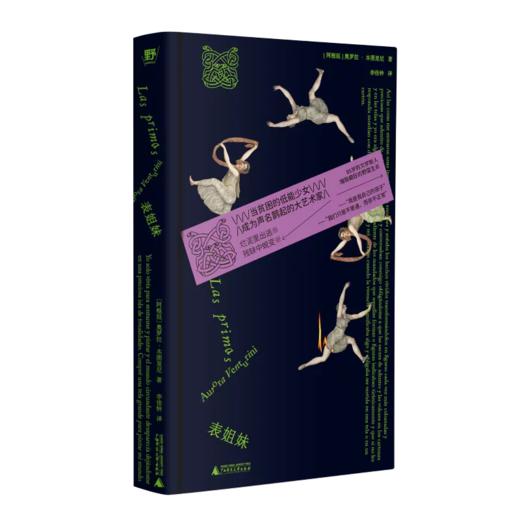 表姐妹（阿根廷）奥罗拉·本图里尼/著 李佳钟/著 拉美文学；女性成长；创伤；家庭 商品图10