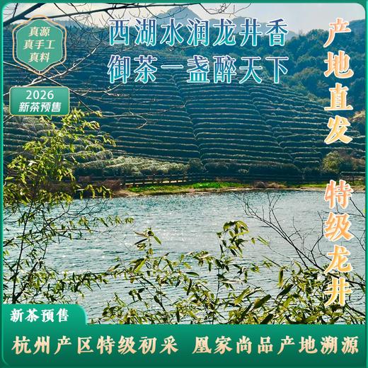 春日限定龙井茶！凰家尚品产地溯源 ！ 2026新茶 何盛号 杭州明前龙井茶 预售：3月27日左右发货 商品图1
