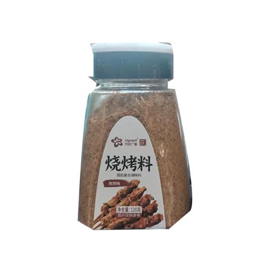 兴龙广缘120g孜然味烧烤料 商品图0