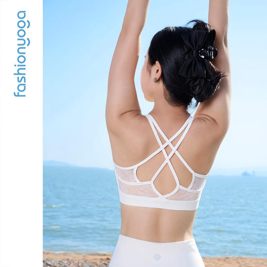 FC16108精致花型蕾丝美背BRA 商品图3