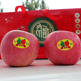 栖霞红富士苹果