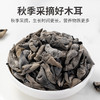 方家铺子 秋木耳500g/袋装 商品缩略图9